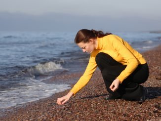 Looking for the Baltic amber