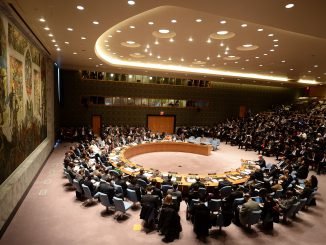 The UN Security Council in New York