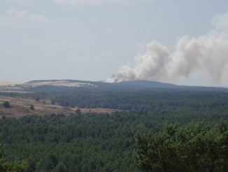 Fire on the Curonian Spit