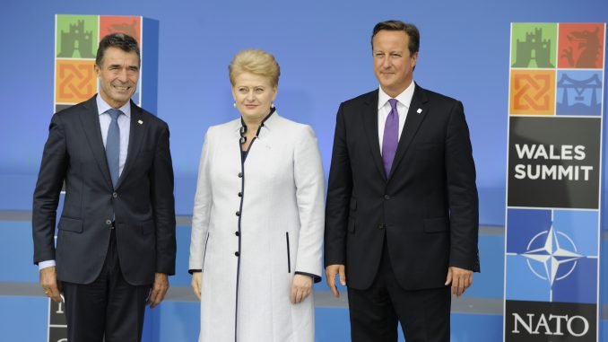 Anders Fogh Rasmussen, Dalia Grybauskaitė, David Cameron