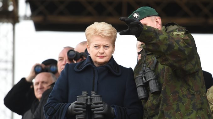 Dalia Grybauskaitė at Pabradė during the Iron Sword 2014