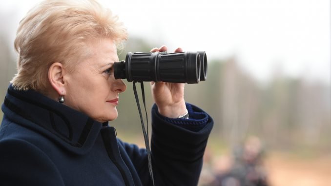 Dalia Grybauskaitė observing military exercise  Iron Sword 2014 in Pabradė