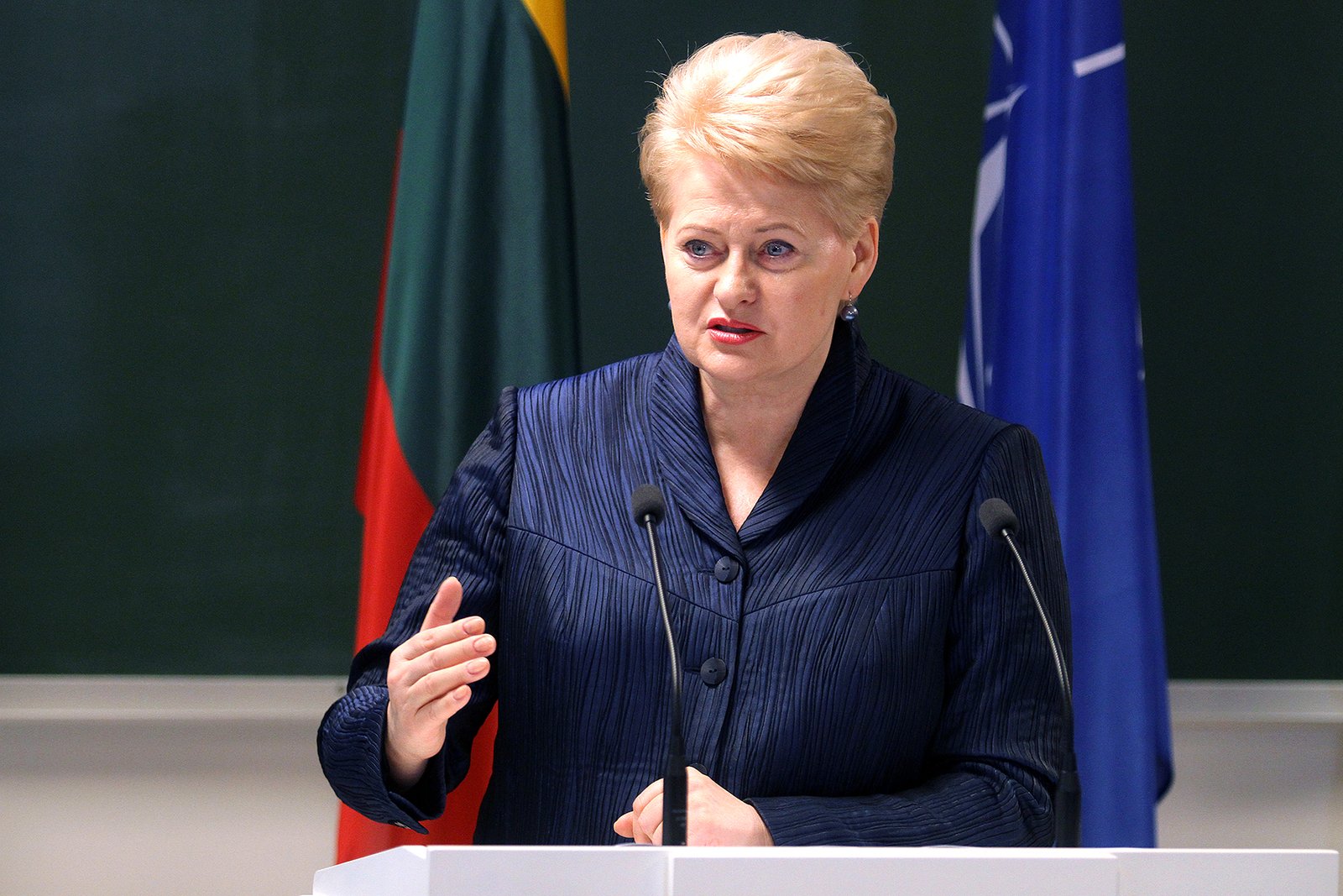 Lithuanian president: Civil and political will are best anti-corruption ...