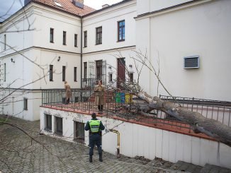 Medis užvirto ant Italijos Ambasados