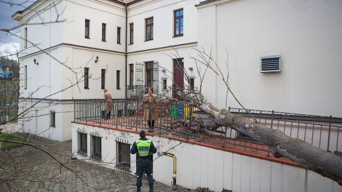 Medis užvirto ant Italijos Ambasados