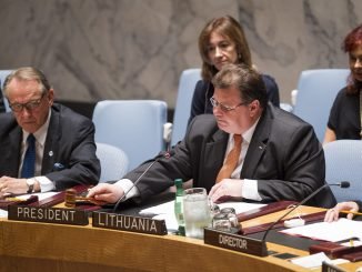 Linas Linkevičius at UN Security Council