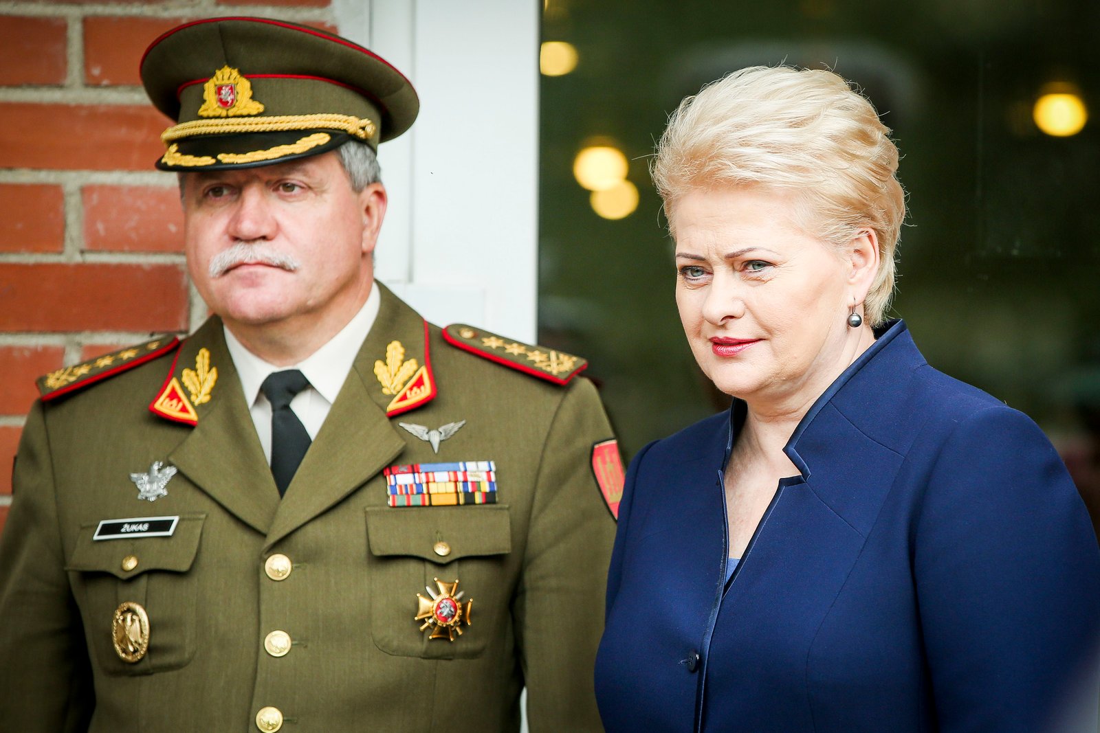 Lithuanian language visual data 2