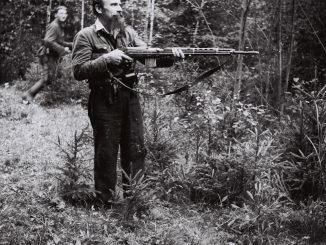 A Lithuanian partisan