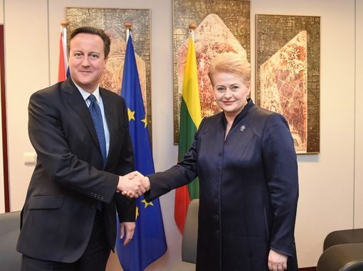 UK Prime Minister David Cameron and Lithuanian President Dalia Grybauskaitė