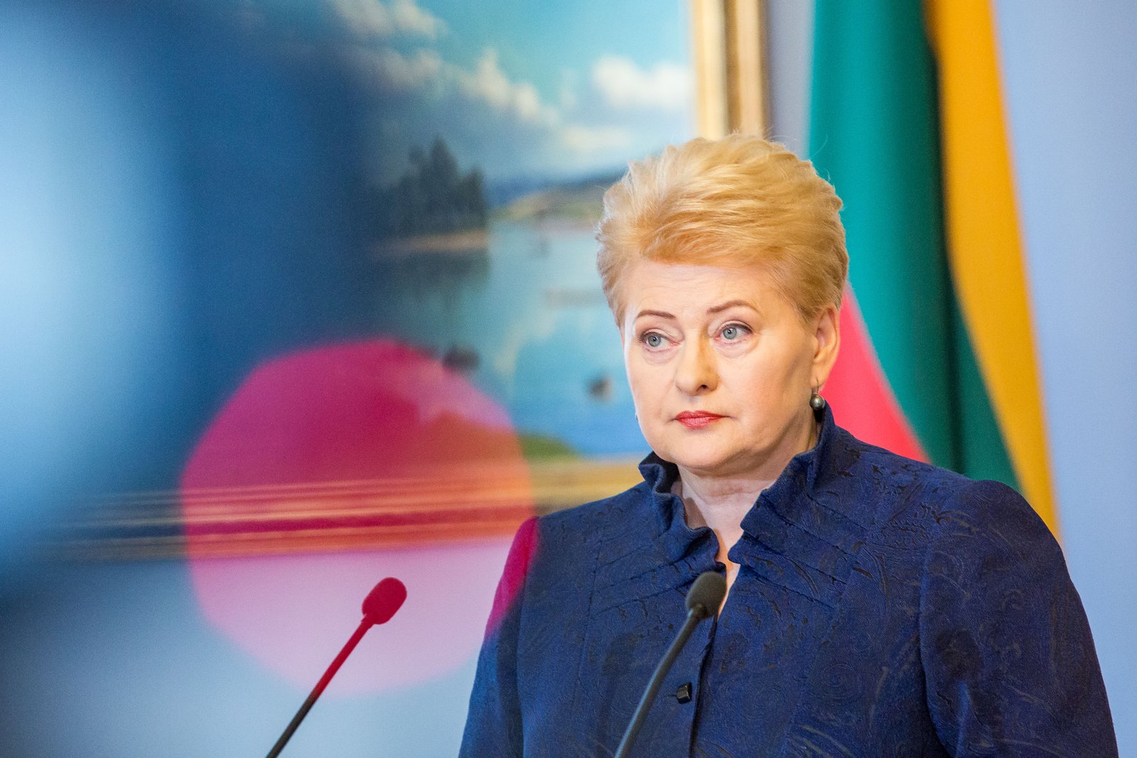 Lithuanian president unhappy with consular office's performance during ...