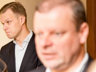 Gabrielius Landsbergis ir Saulius Skvernelis