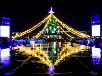 Christmas tree in Kaunas