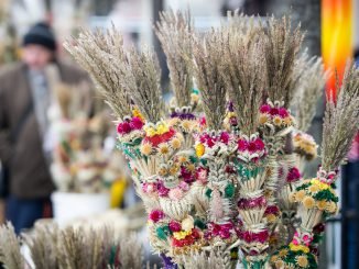 Palm Sunday in Vilnius