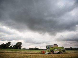 Harvesting in Lithuania