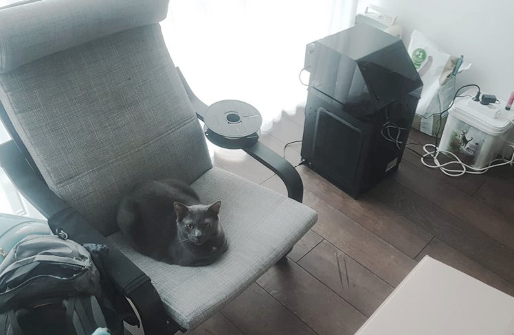 Giedrė’s living room with the printer and the family’s cat. Photo provided by Giedrė iii